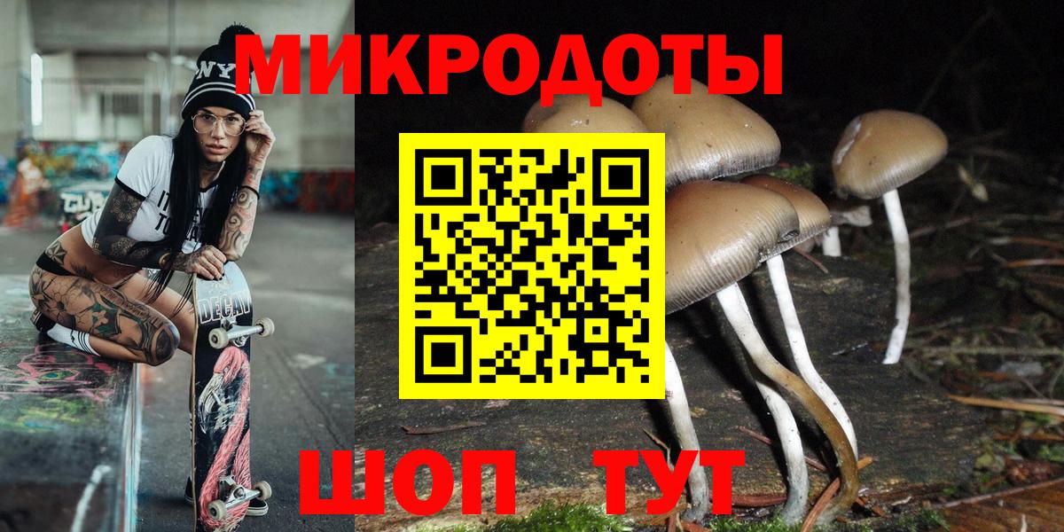 Галлюциногенные грибы Cubensis Родники